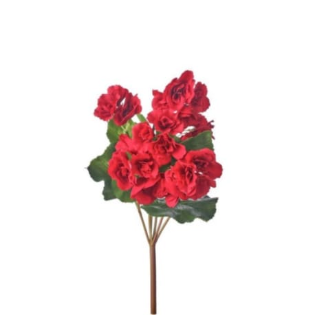 Regency International Red Begonia Plant, 17 in.