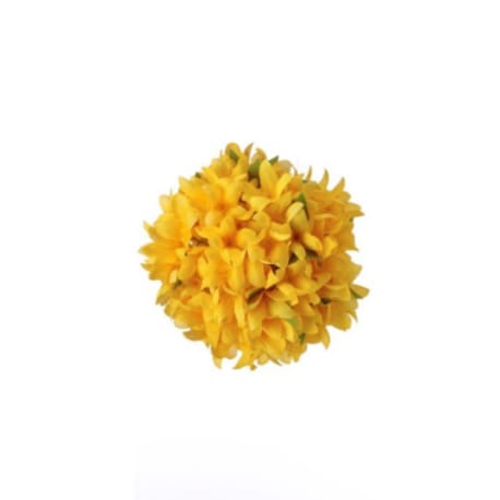 Regency International Yellow Veranda Forsythia Orb, 6 in.