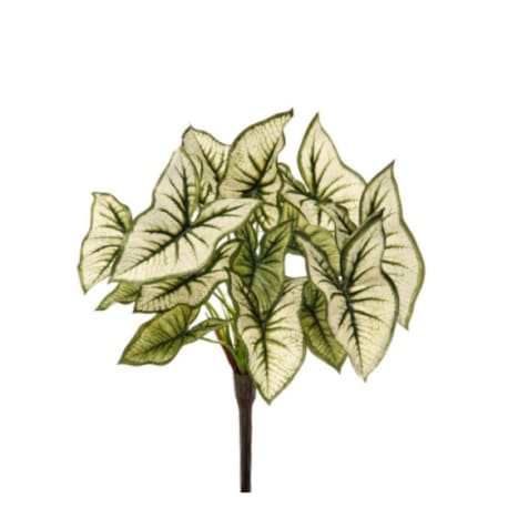 Regency International Green & White Syngonium Plant, 14 in.