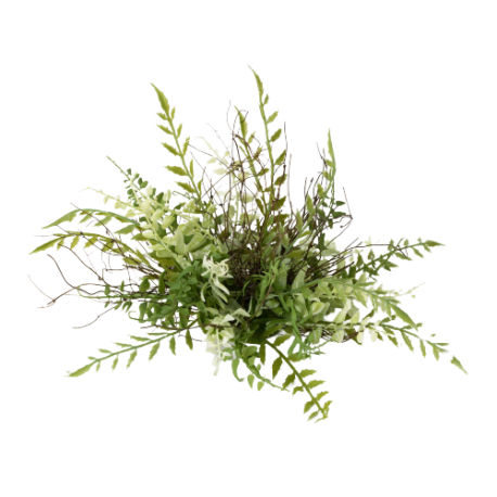 Sullivans Fern Twig Half Orb, 5.5 in.