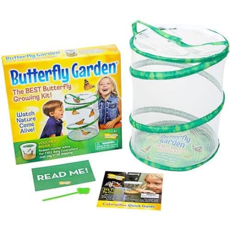 Insect Lore Butterfly Garden Kit