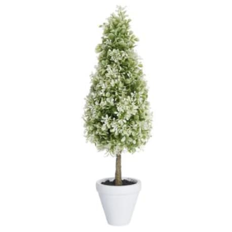 Allstate Floral Light Green Boxwood Topiary in Clay Pot, 22 in.