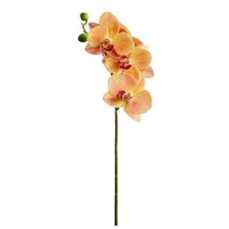 Allstate Floral Orange Burgundy Small Phalaenopsis Orchid Spray, 23.5 in.