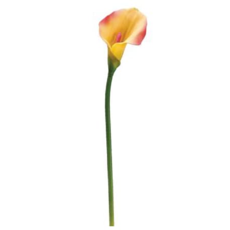 Allstate Floral Pink & Yellow PVC Calla Lily Stem, 21 in.