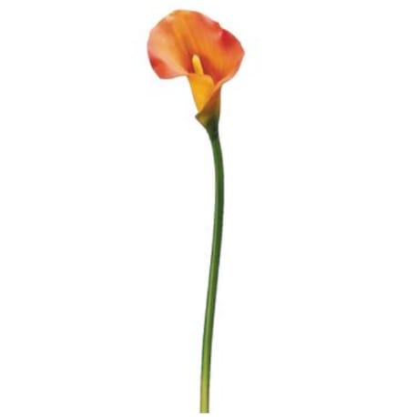 Allstate Floral Two Tone Orange PVC Calla Lily Stem, 21 in.