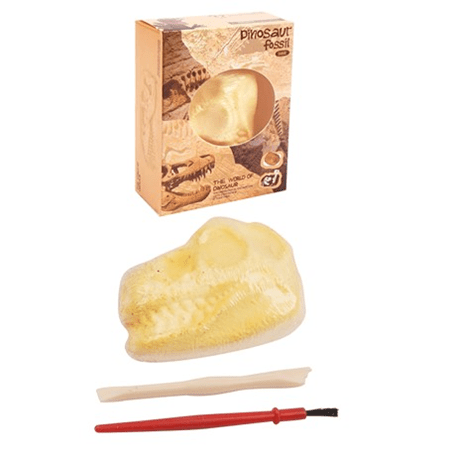 Dinosaur Fossil Excavation Treasure Kit