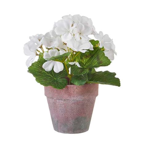 RAZ Imports Potted White Geranium, 9 in.