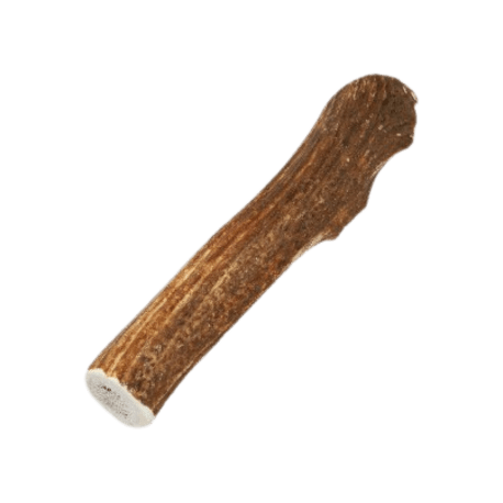 Elk Antler Dog Treats XL Natural Elk Antler