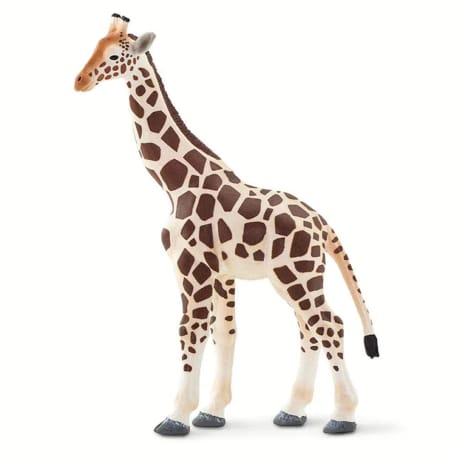 Safari Ltd Giraffe