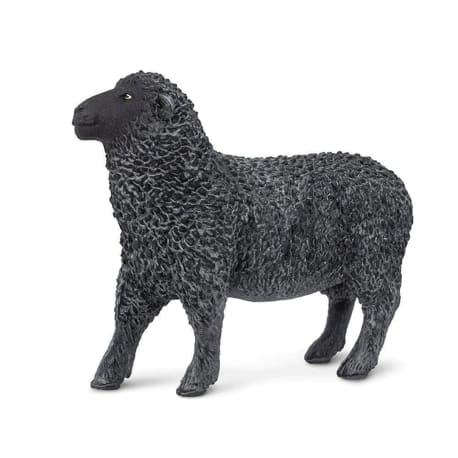 Safari Ltd Black Sheep