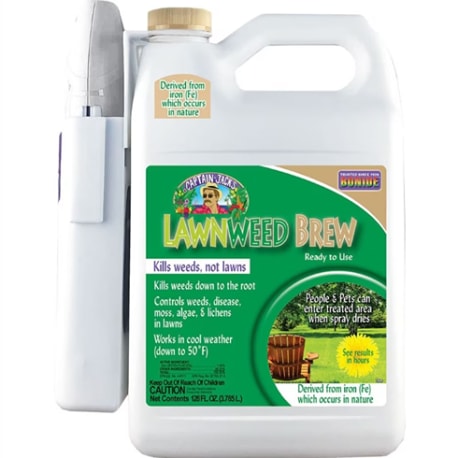 Bonide Captain Jack's LawnWeed Brew with Wand, 1 gal.