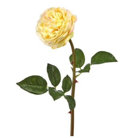 Regency International 22" English Yellow Rose Pick