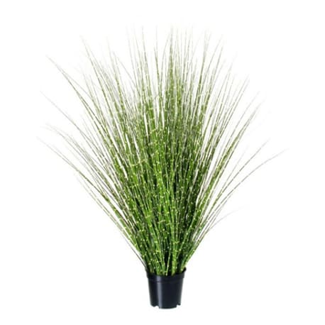 Regency International Fountain Zebra Grass