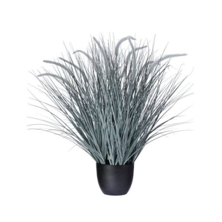 Regency International Dune Grass Plant