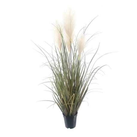 Regency International Sandy Dunes Grass