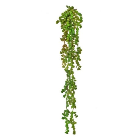 Regency International 19" Green Nut Succulent Vine