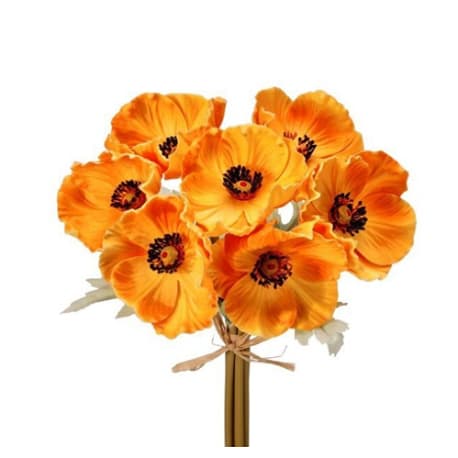 Regency International 10.25" Orange Poppy Bundle