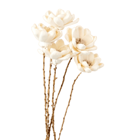 PD Home & Garden 18" White Poppy Flowers