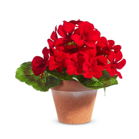 RAZ Imports Miniature Potted Red Geranium