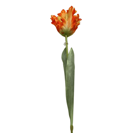 Tremont Floral 26.5" Orange Parrot Tulip Stem