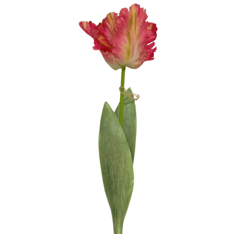 Tremont Floral 26.5" Pink Parrot Tulip Stem