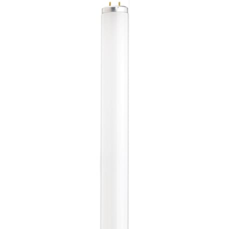 Satco 30 Watt T12 Fluorescent Cool White Medium Bi-Pin Light Bulb