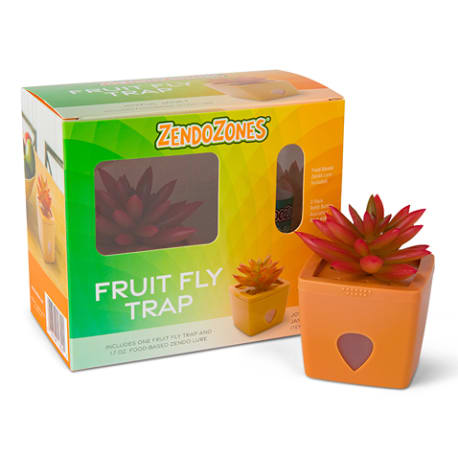 ZendoZones Joyful Janet Fruit Fly Trap