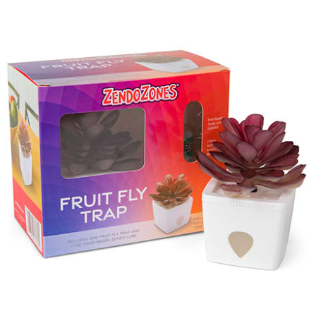 ZendoZones Mellow Moly Fruit Fly Trap