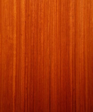 Sauers Padauk Padauk 3 sq. ft. Pack