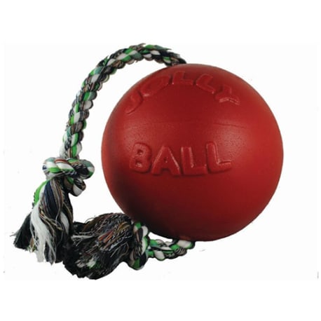 Jolly Pets Small Romp-N-Roll Ball, 4.5 in.