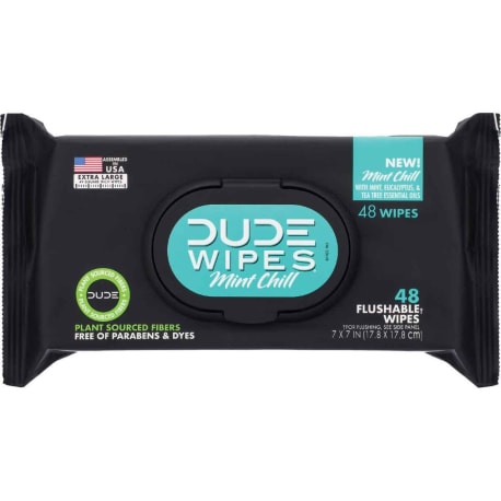 DUDE Mint Chill Flushable Wipes, 48 Count