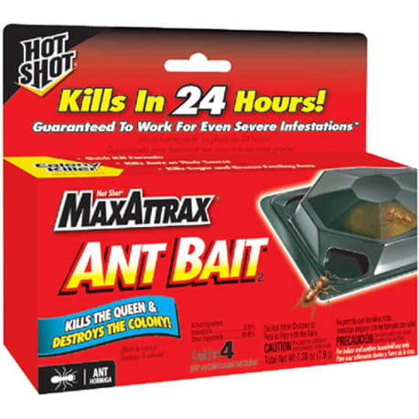 Hot Shot MaxAttrax Solid Ant Bait Stations, 4 Pack