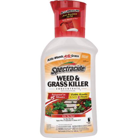 Spectracide 32 oz Weed & Grass Concentrate