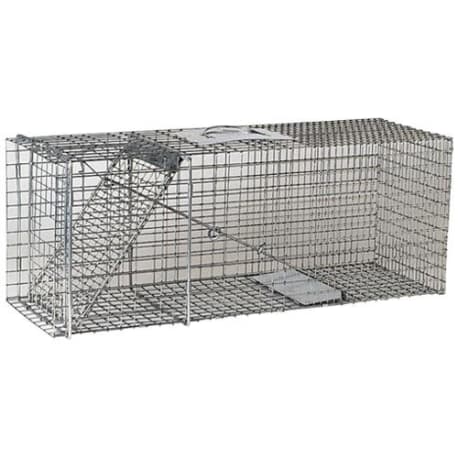 Rental Havahart Trap Large