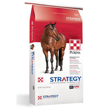 Purina Strategy GX Professional Formula Horse Feed, 50 lb.