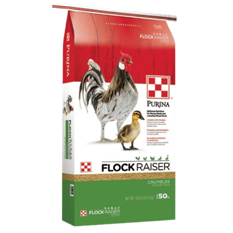 Purina Flock Raiser Crumbles Poultry Feed, 50 lb.