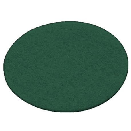 Festool 496510 D125 Vlies Green Abrasive Discs, 10 ct