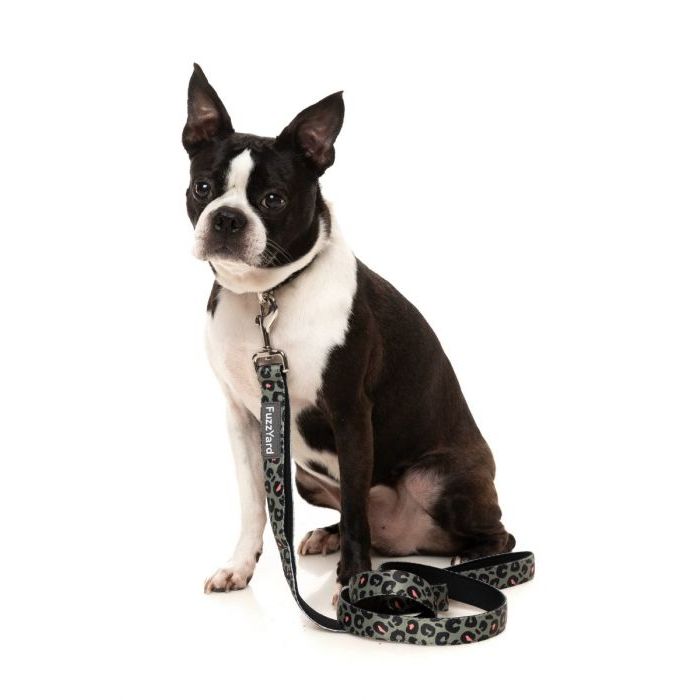 FuzzYard Small Savanna Lead Hartville Hardware