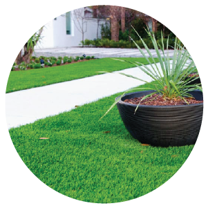Lawn & Garden page with links and information on grass seed, plant care products, BesTurf, garden tools, and more.