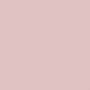 Soft Rose