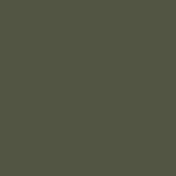 Color swatch of the Pine color available for select ProVia siding.