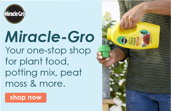 Search result page with Miracle-Gro plant food, potting soil, and more lawn & garden supplies.