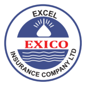 Excel Insurance Company Limited logo