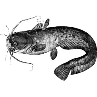 user_515eacab21 profile picture