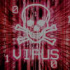 programmerno24 profile image