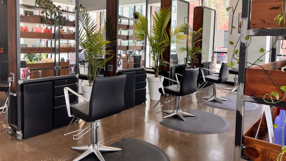 salon photo