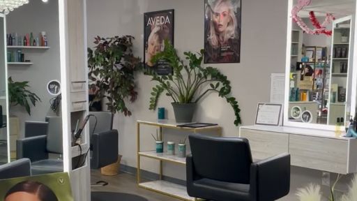 salon photo