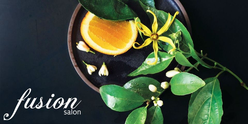 salon photo