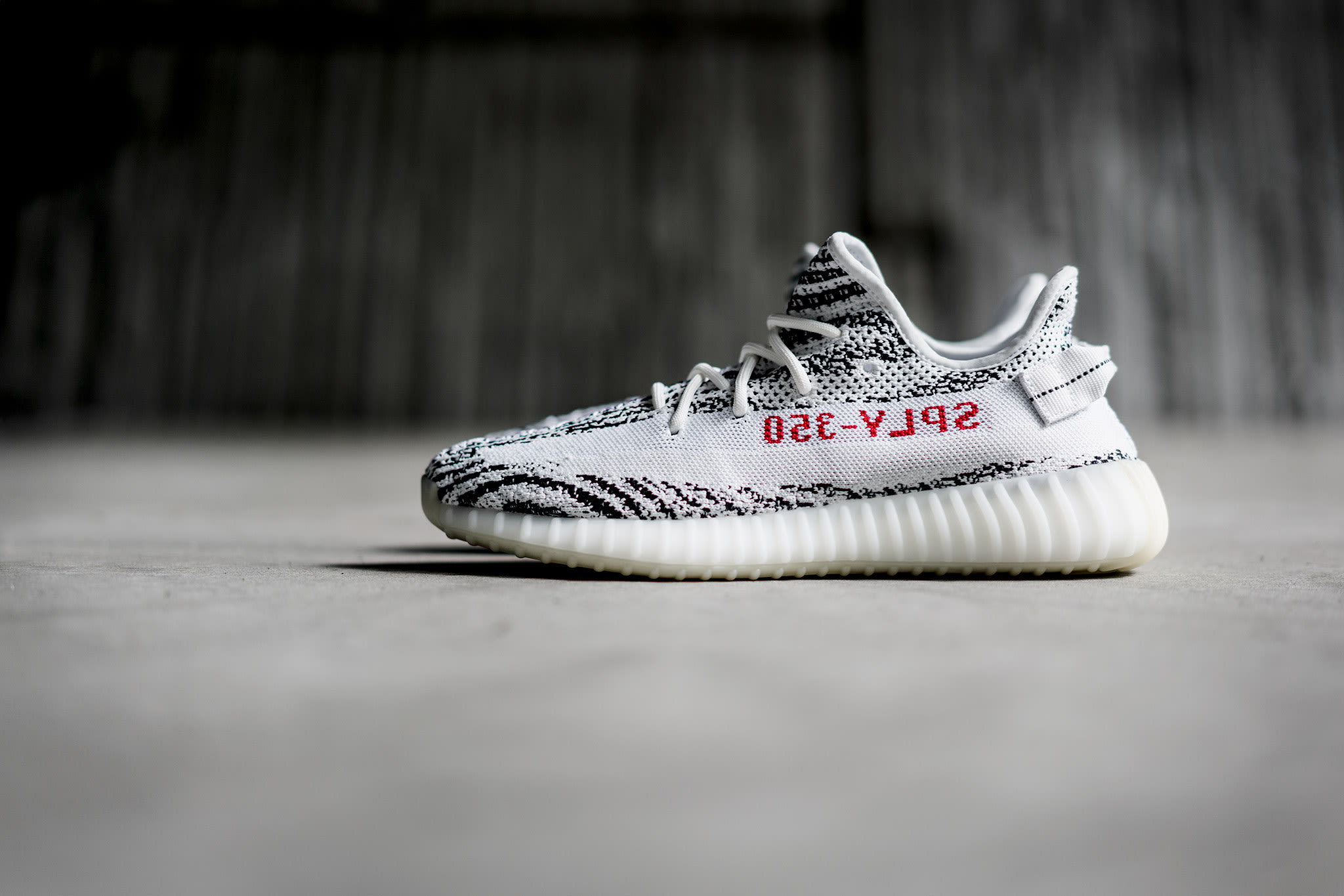 zebra drop yeezy