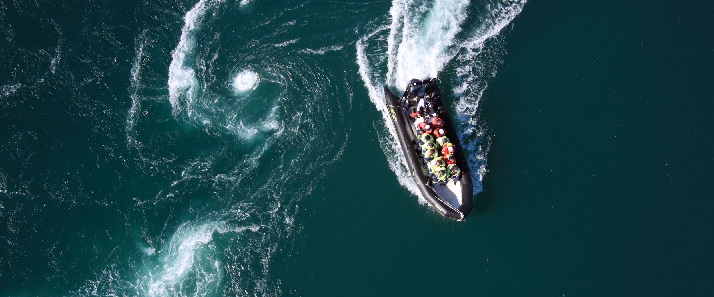 Rib seen from above. 